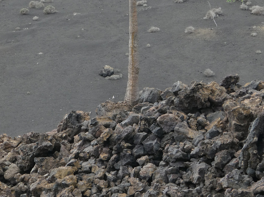 Ruta Tremesana-Yaiza必去景点