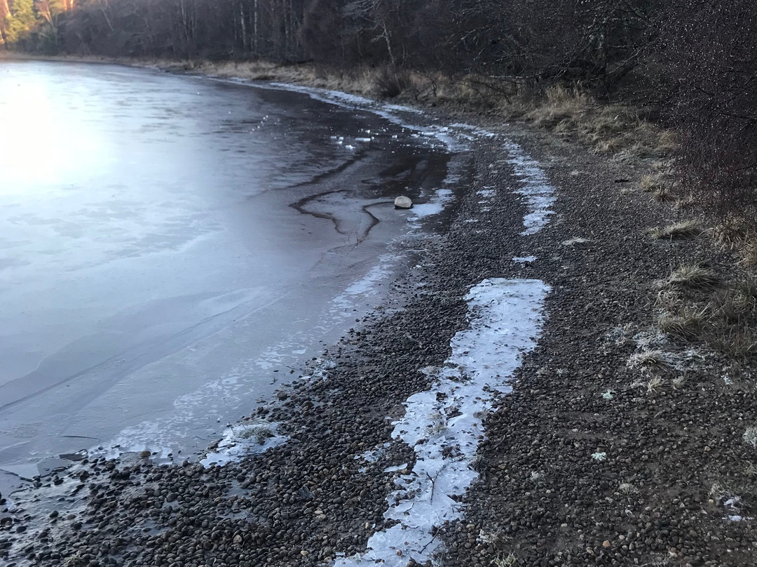 RSPB - Insh Marshes-Kingussie必去景点