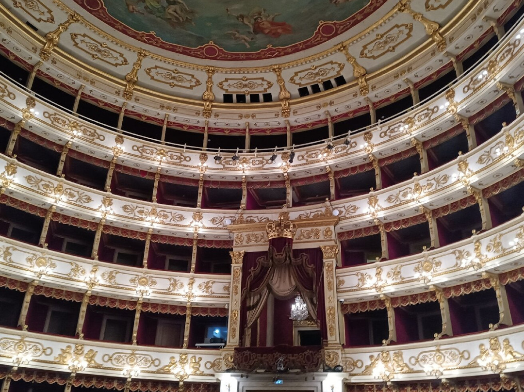 Teatro Regio-帕尔马必去景点