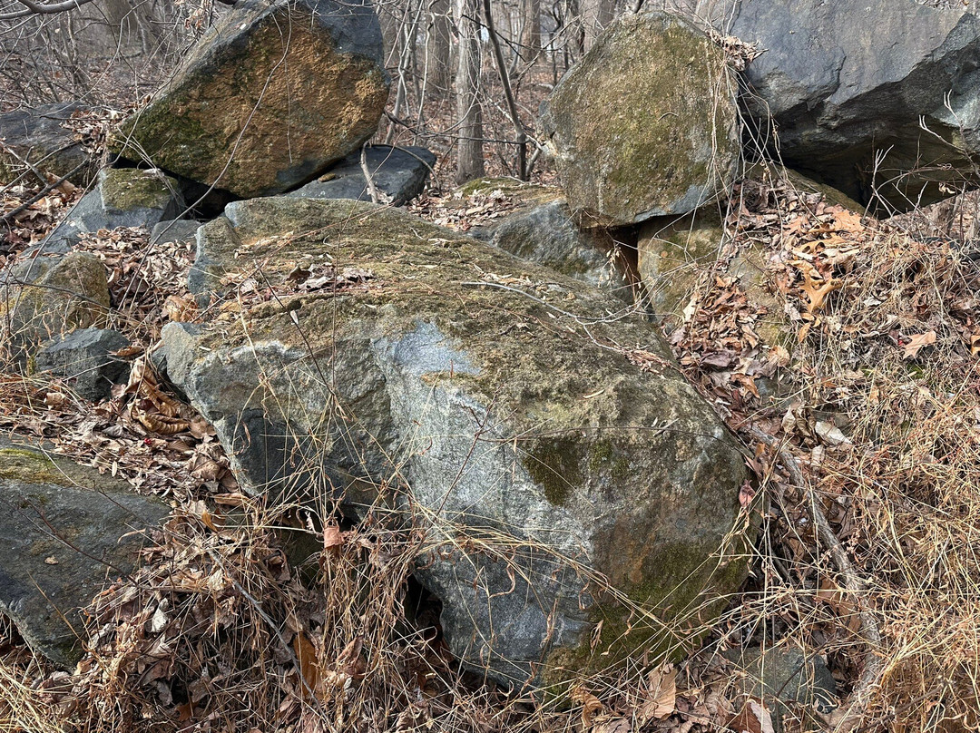 Clayton Park-Garnet Valley必去景点