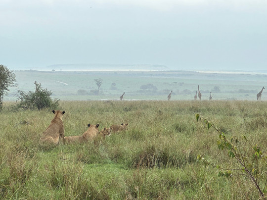 Enjoy Collection Tours and Safaris-马林地必去景点