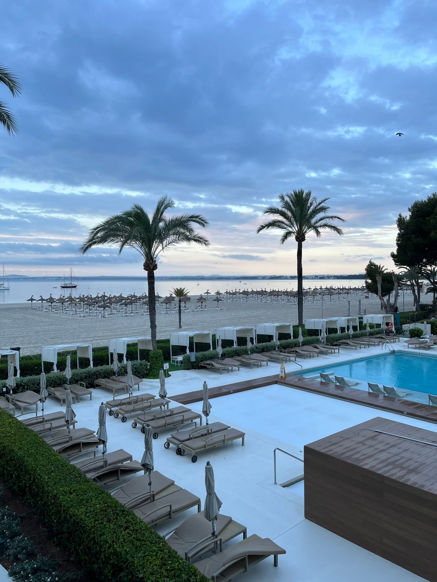 Viva Golf Adults Only 18+-官方