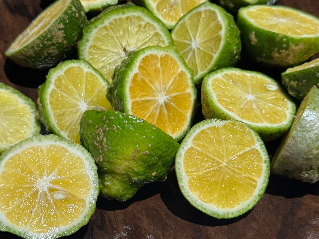 Selva Connections-希门尼斯港必去景点