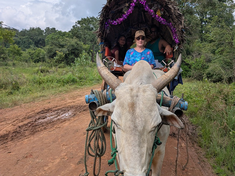 MY HOLIDAY SRI LANKA-佩拉德尼亚必去景点