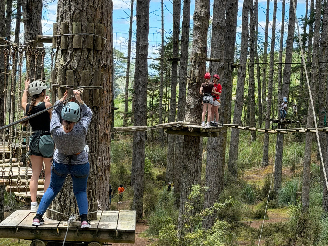Tree Adventures-伍德山必去景点