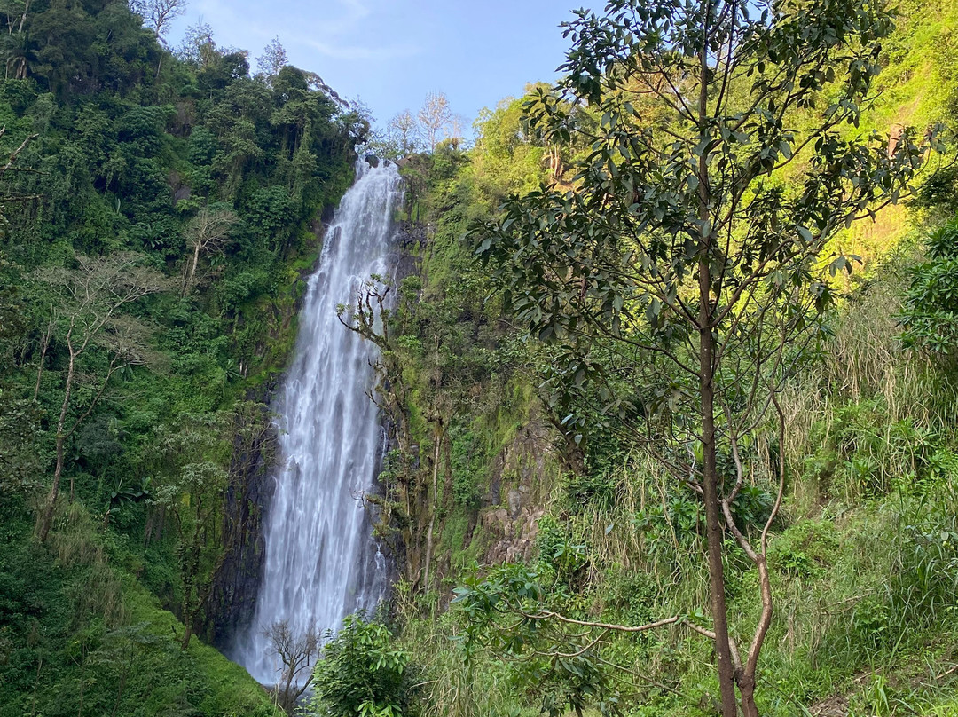 Still Waters Safaris Tanzania-阿鲁沙必去景点