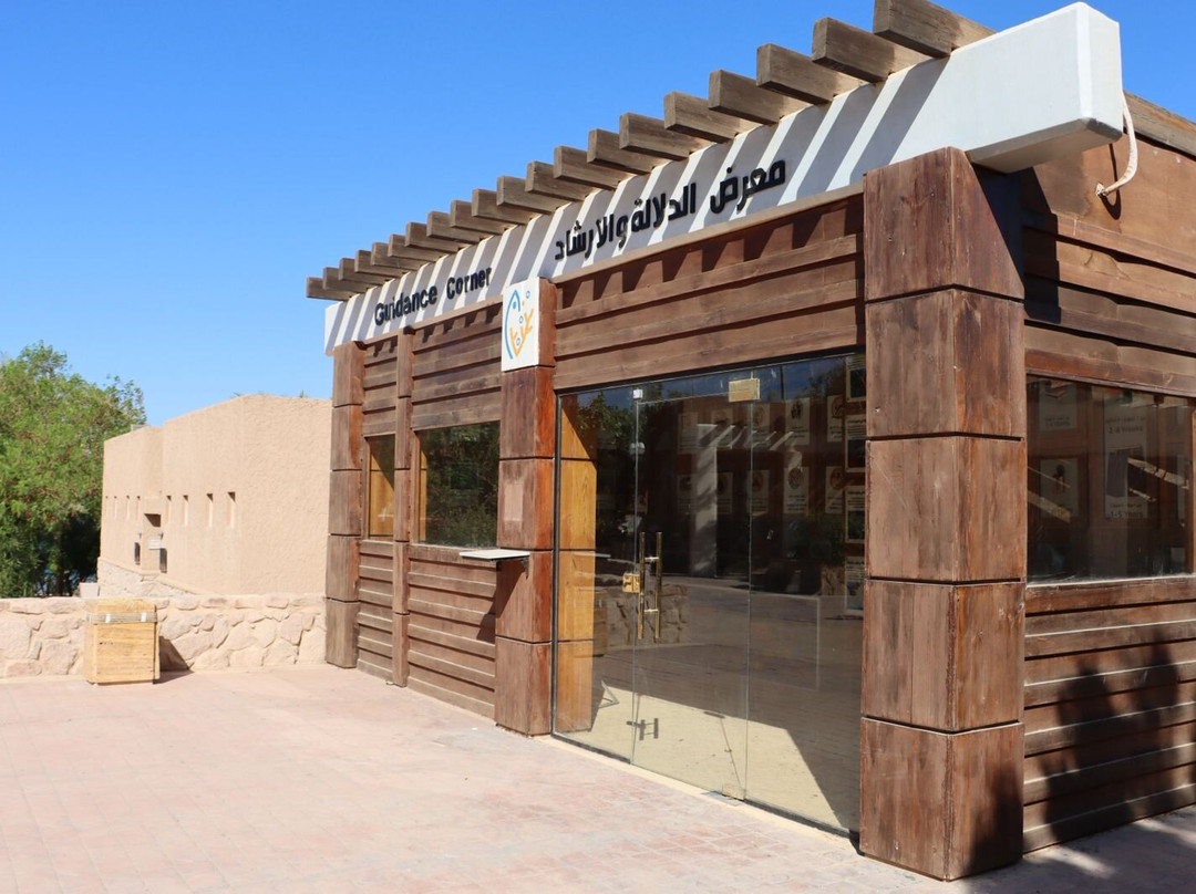 Aqaba Marine Park-亚喀巴必去景点