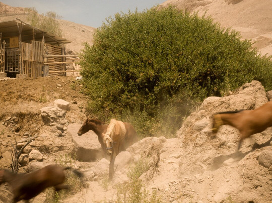 Ruta Huasquina-Huara必去景点