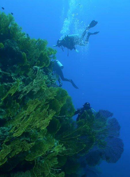 Kunie Scuba Center-Ile Des Pins必去景点