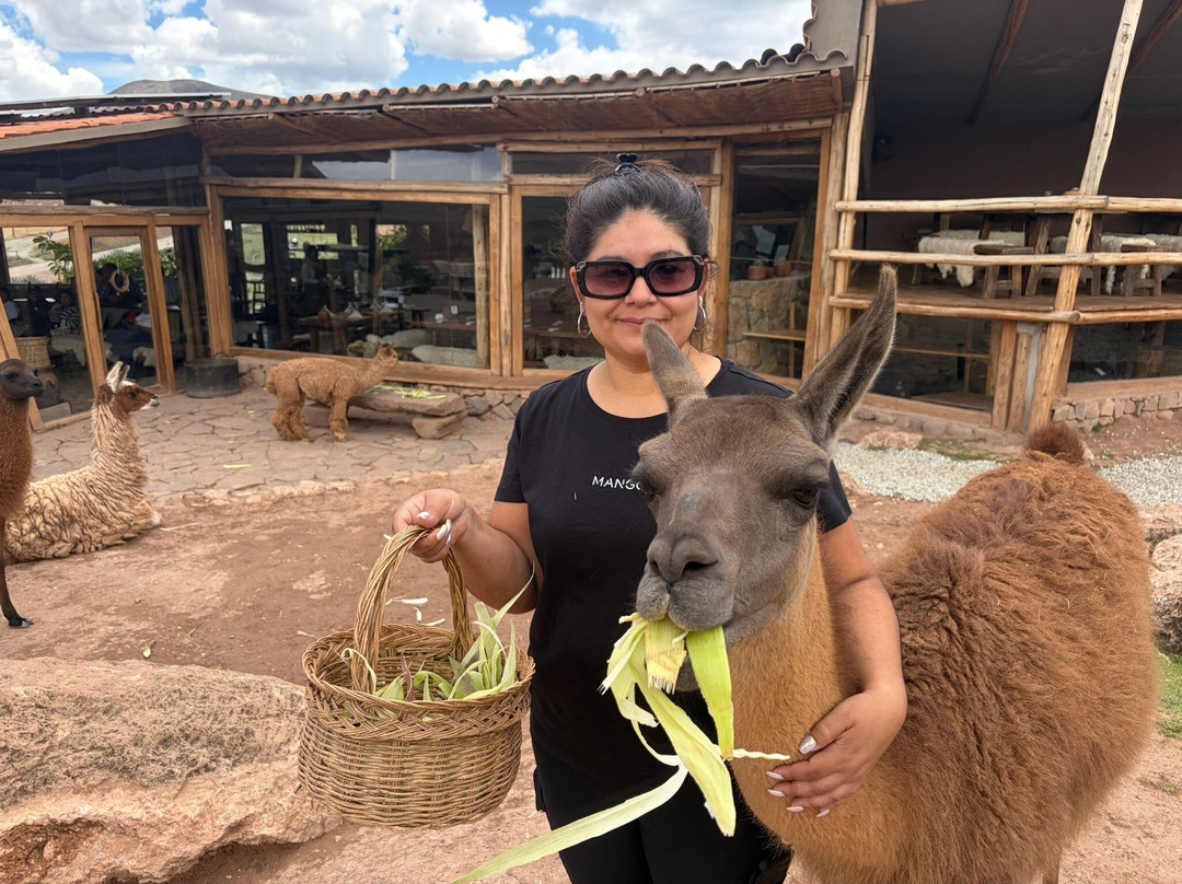 Mountain View Experiences-Maras必去景点