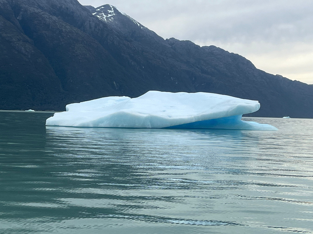 Canales Australes-Tortel必去景点