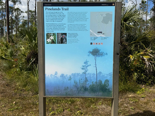 Pineland Trail-大沼泽国家公园必去景点