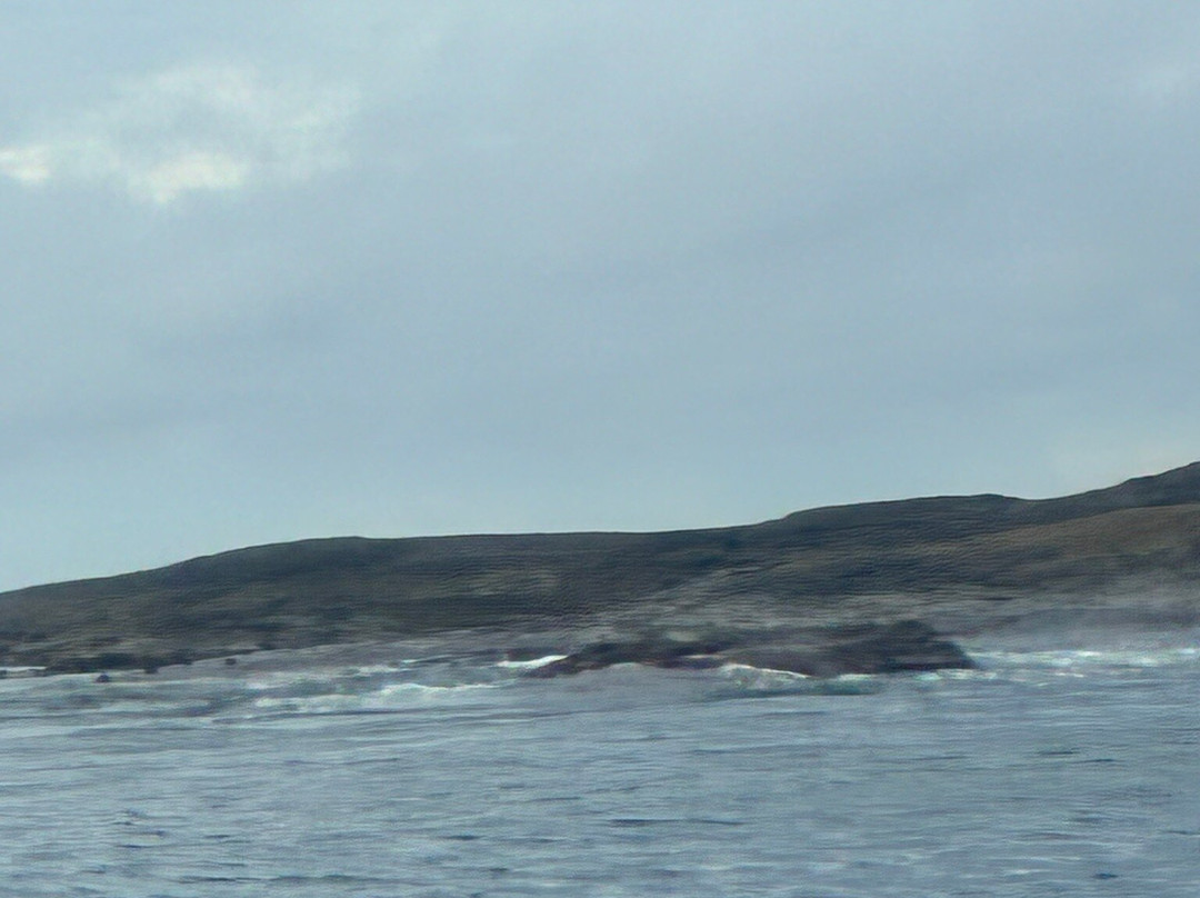 Apollo Bay Surf and Kayak-阿波罗湾必去景点