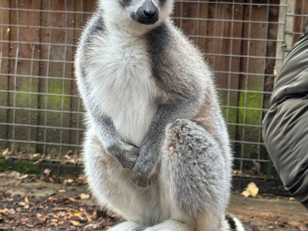 Hoo Zoo And Dinosaur World-特尔福德必去景点