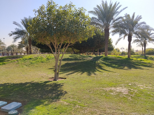 Salam Park-利雅德必去景点