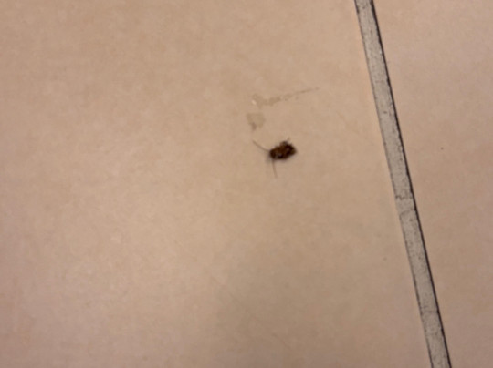 Comfort Suites Conference Center Rapid City主图