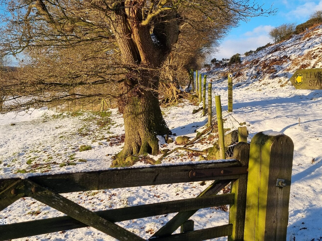 Cawthorne House主图