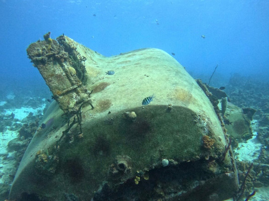 Varadero Diving Tour-Playa Larga必去景点