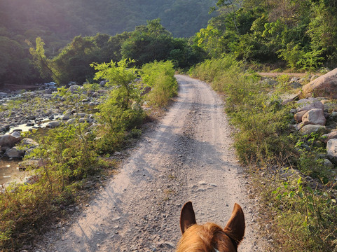 Rancho El Charro-瓦拉塔港必去景点