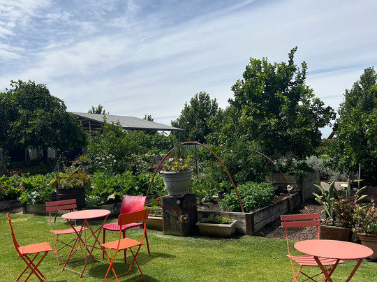 Wine Tours Swan Valley-Swan Valley必去景点