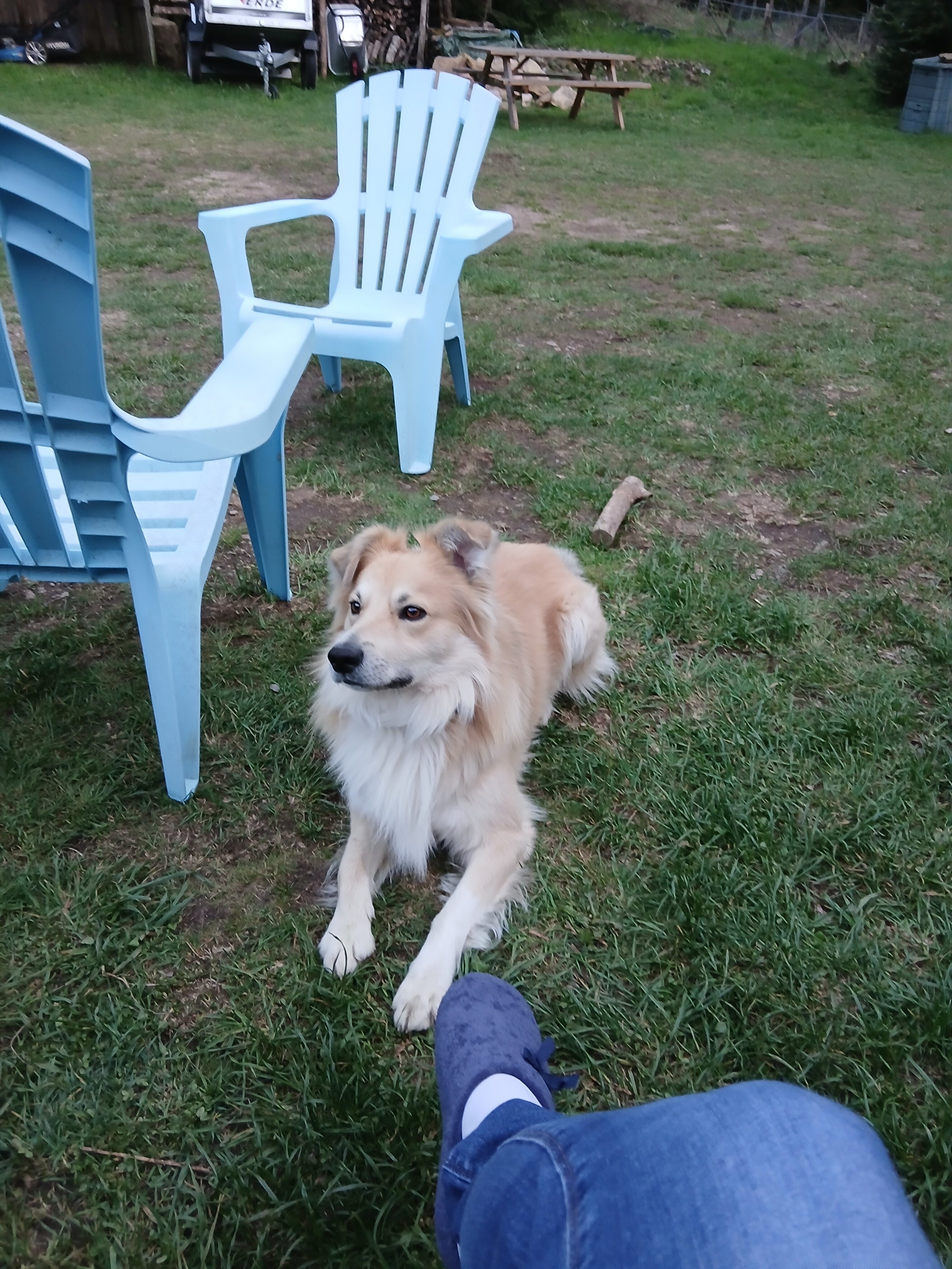 Gîte Les Airelles À Chasseradès-官方
