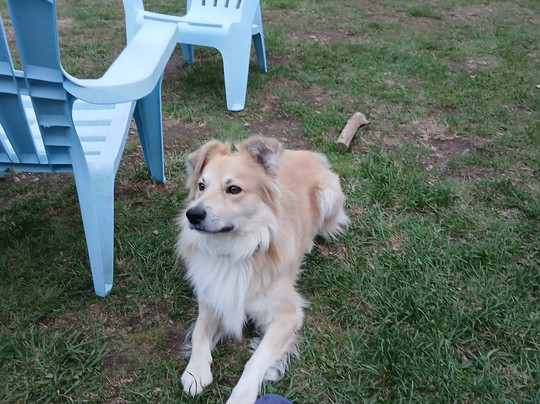 Gîte Les Airelles À Chasseradès主图