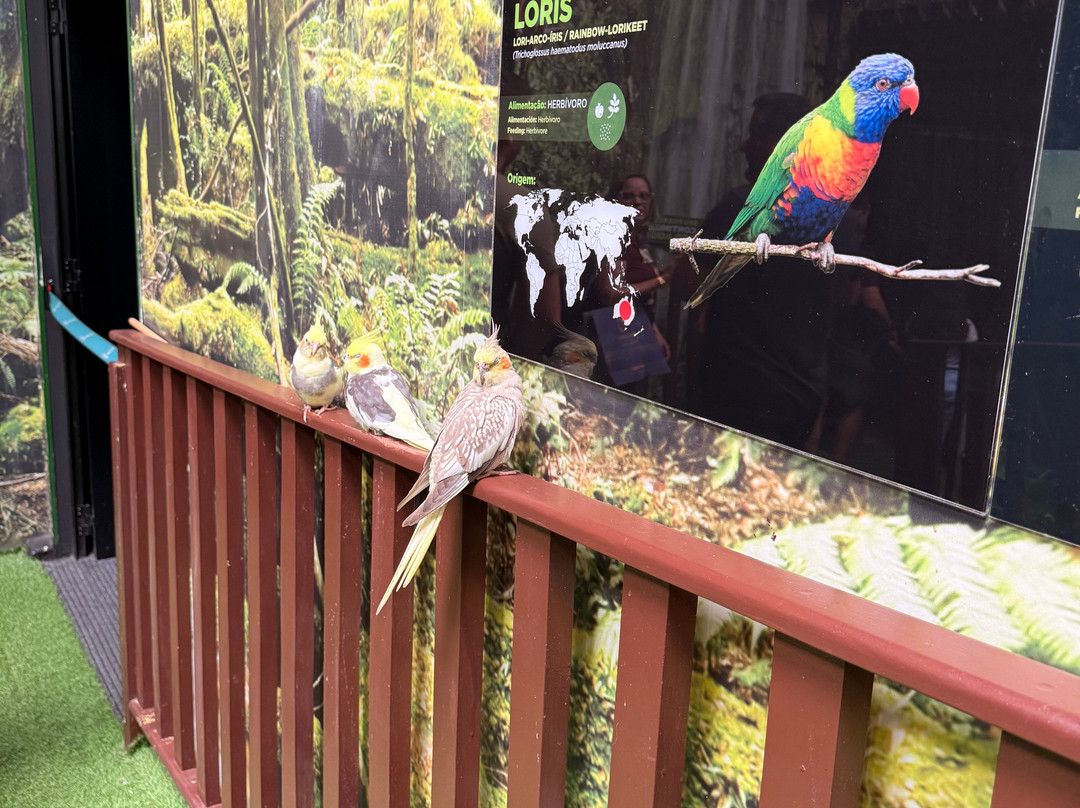 Oceanic Aquarium-康泊琉海水浴场必去景点