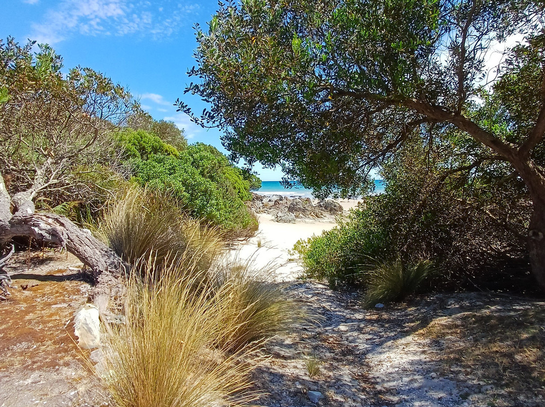 Rocky Cape Retreat主图