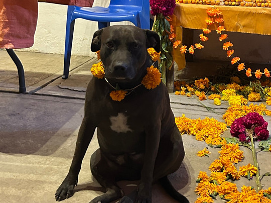 Fango Arte en Barro Negro-San Bartolo必去景点