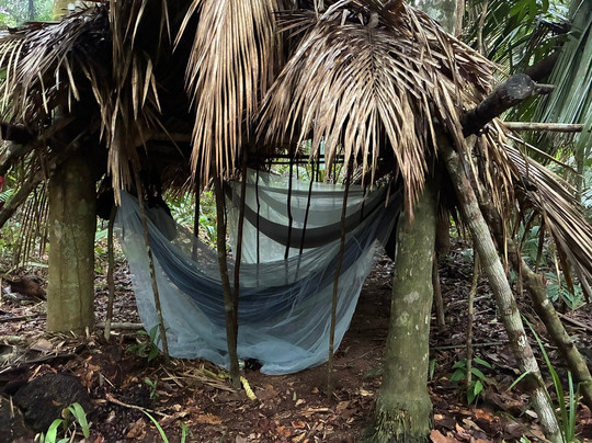 Amazon Green Tours-玛瑙斯必去景点