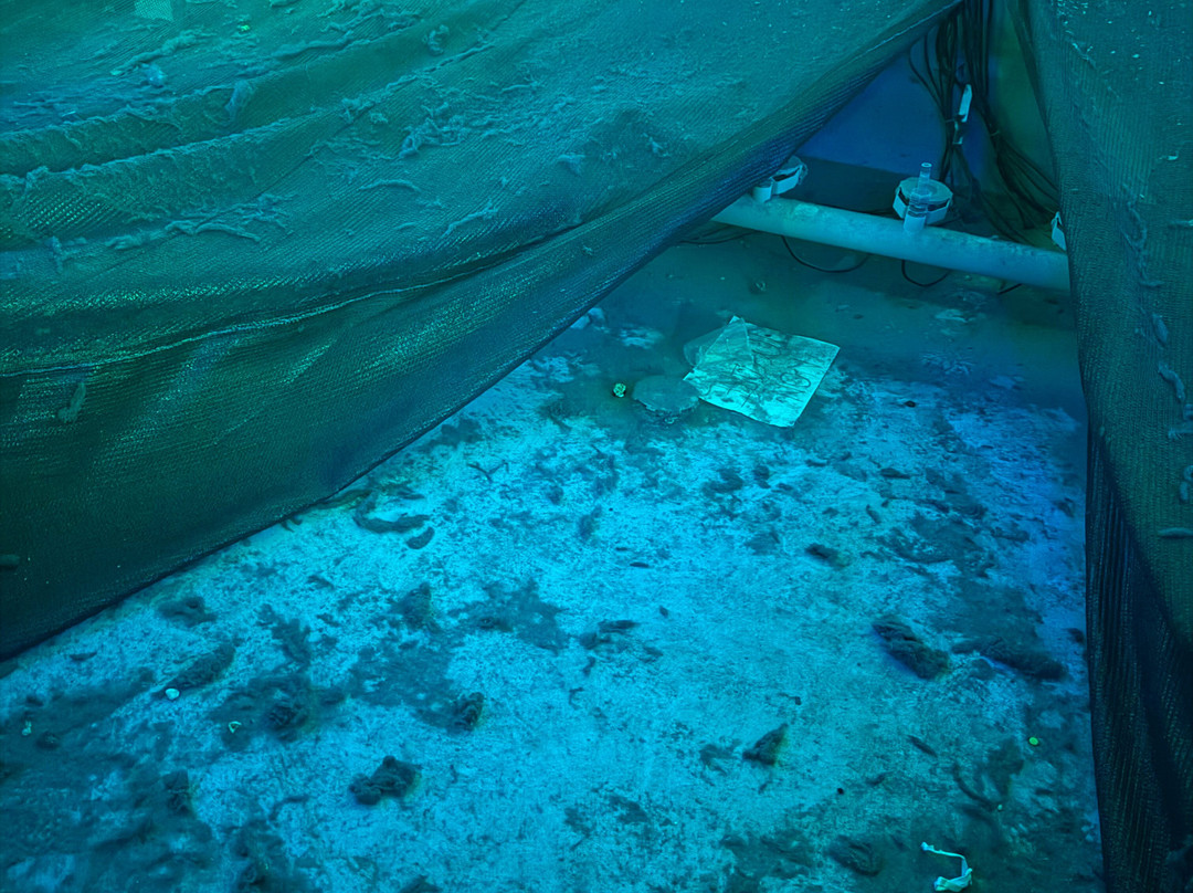 Cinelandia-Arosio必去景点