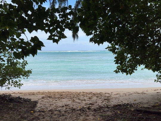 Escape Waikiki Tours-火奴鲁鲁必去景点