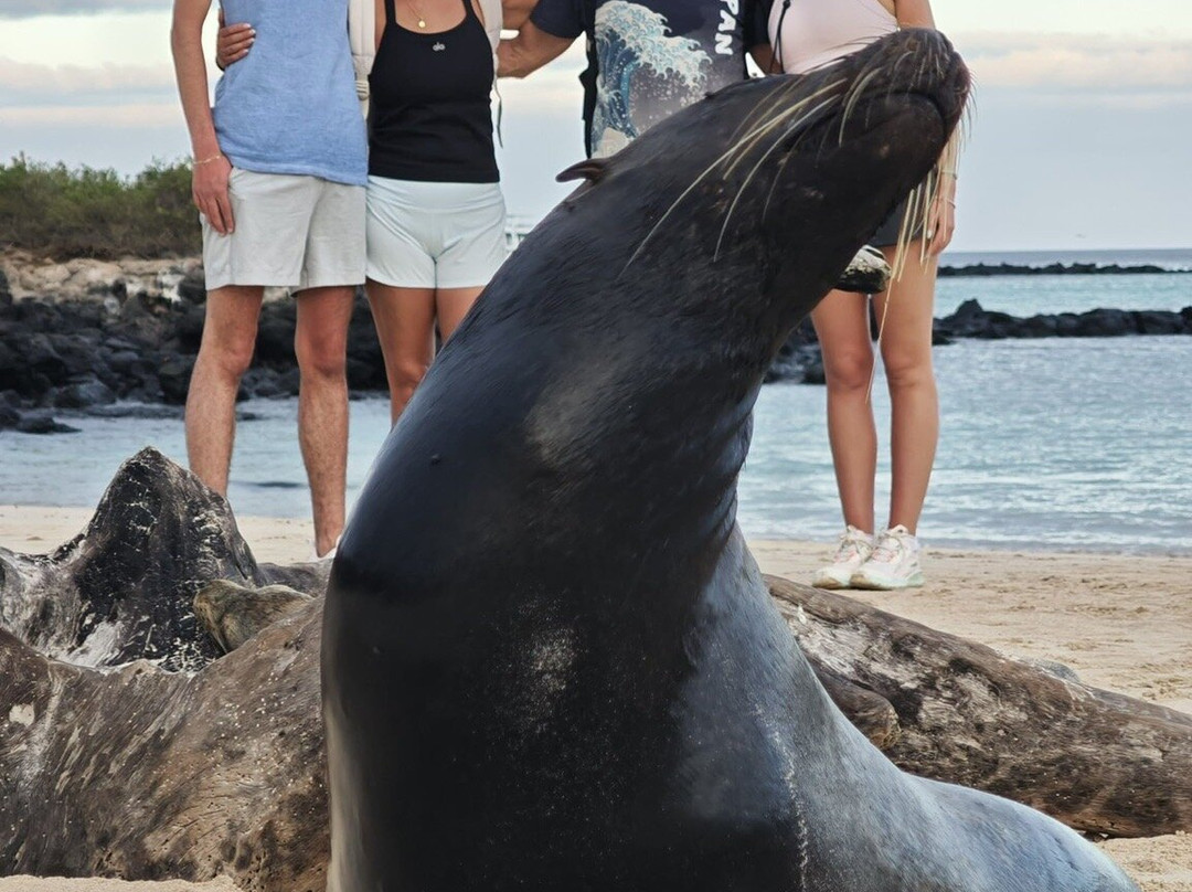 Adventure Journeys-基多必去景点