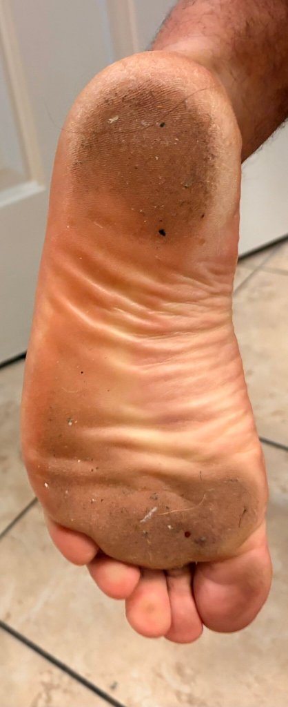 棕榈峡谷度假酒店-官方