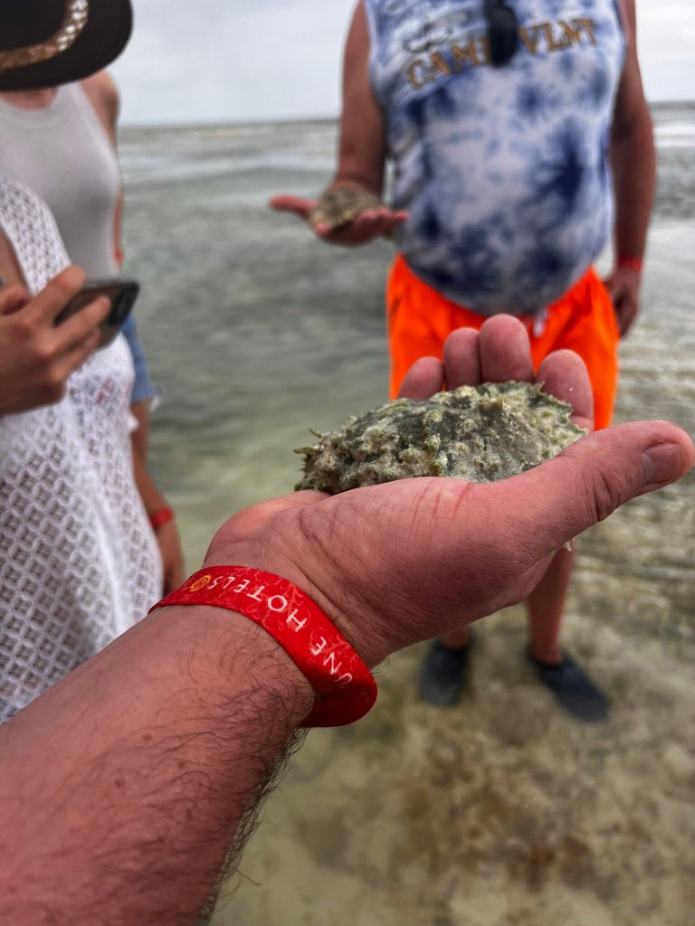 Neptune Pwani Beach Resort - Spa-官方