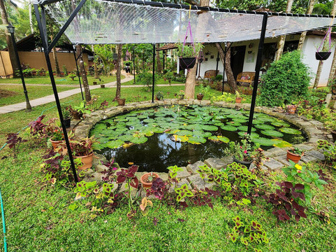 Shantitheeram Ayurveda主图