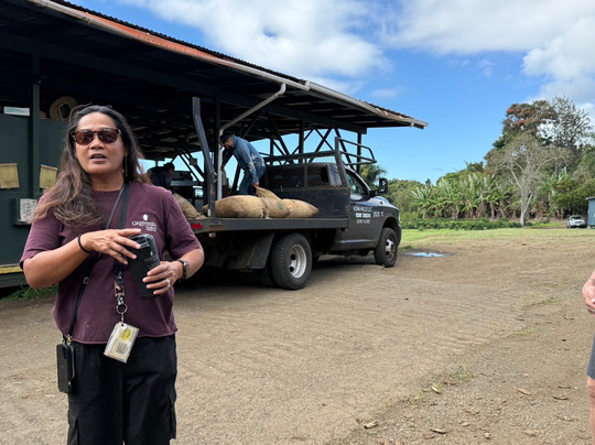 格林威尔农场-基亚拉凯库亚必去景点