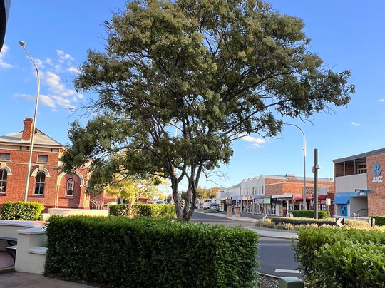 Mid Town Inn Narrabri主图