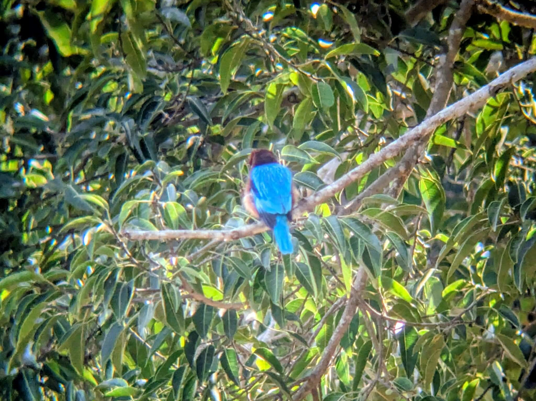 Udawalawe Lahiru Safari Guide Tours-乌达瓦拉维国家公园必去景点