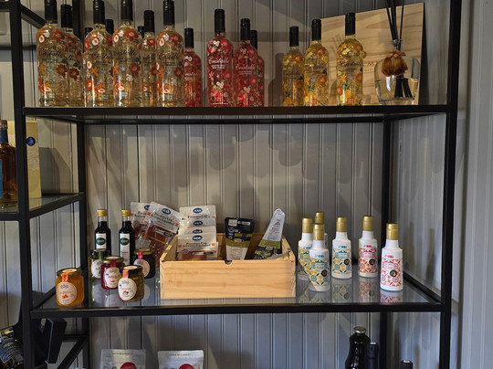 Loja - Dunamis Vinhos & Vinhedos-格拉玛多必去景点