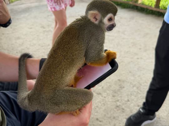 Monkey Home Puerto Plata-普拉塔港必去景点