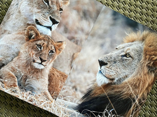 EverseenAfrica-霍德斯普鲁特必去景点