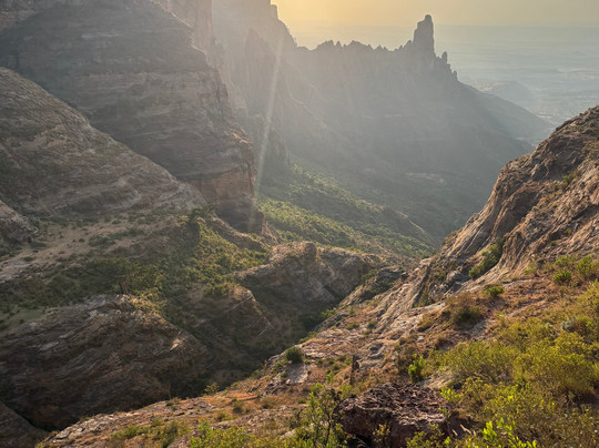 Ethio Wildlife Tours-Dalol必去景点