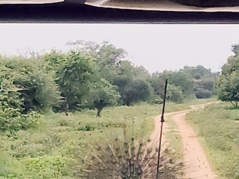 Moi Ceylon Tours-Rajagiriya必去景点