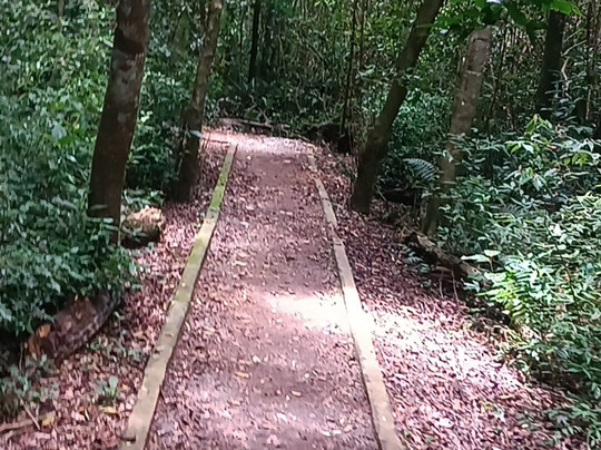 Sendero Macuco-伊瓜苏港必去景点