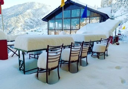 Apple Orchard Resort-官方