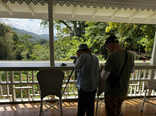 Eureka Natural History Tours-斯卡伯勒必去景点