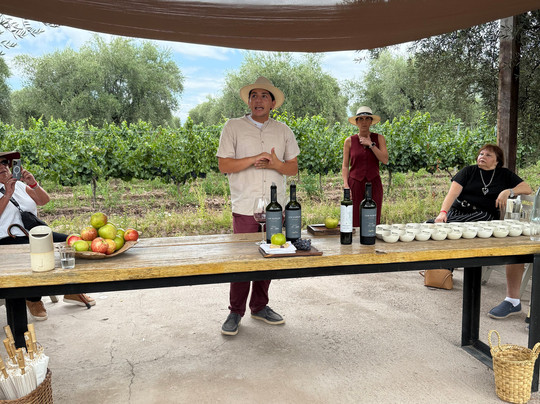 Finca El Paraíso - Bodega Luigi Bosca-Maipu必去景点