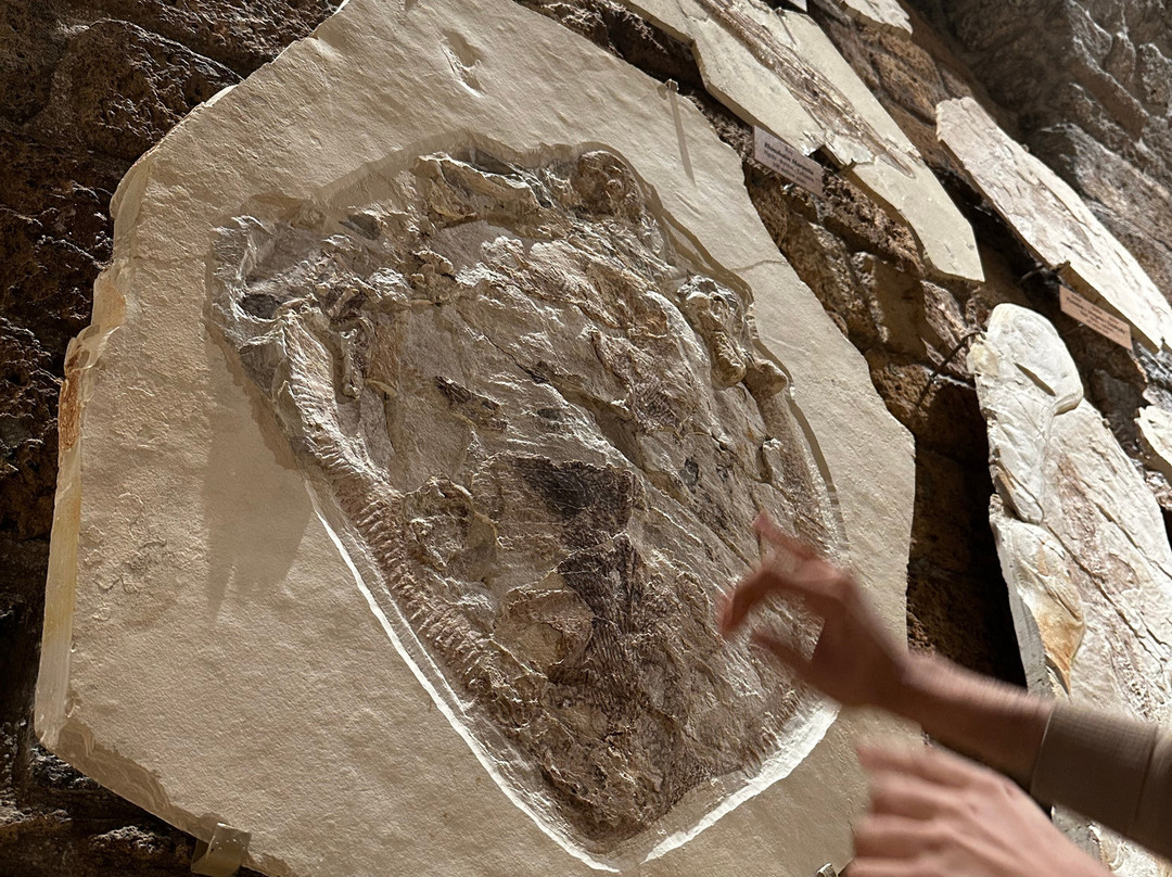 Memory of Time-朱拜勒必去景点