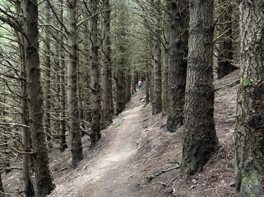 Washpen Falls-Darfield必去景点